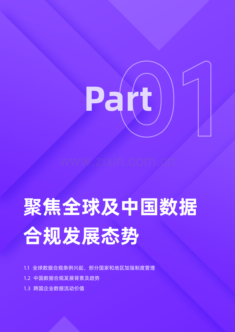 2024年跨境数据合规白皮书-径硕科技.pdf_第3页