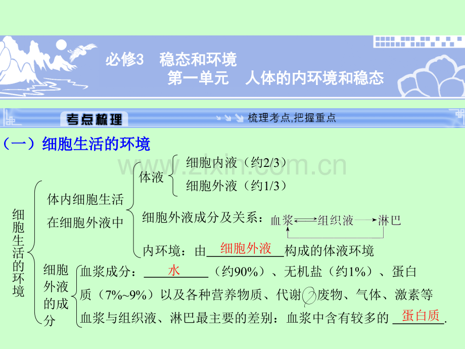 人体的内环境和稳态.ppt_第1页