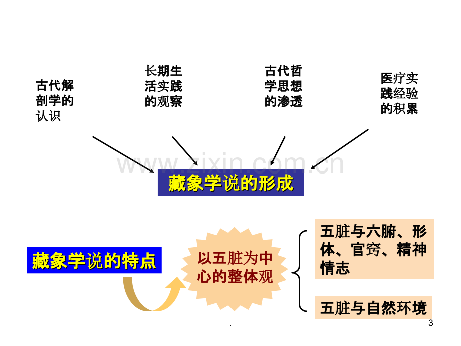 了解你的五脏.ppt_第3页