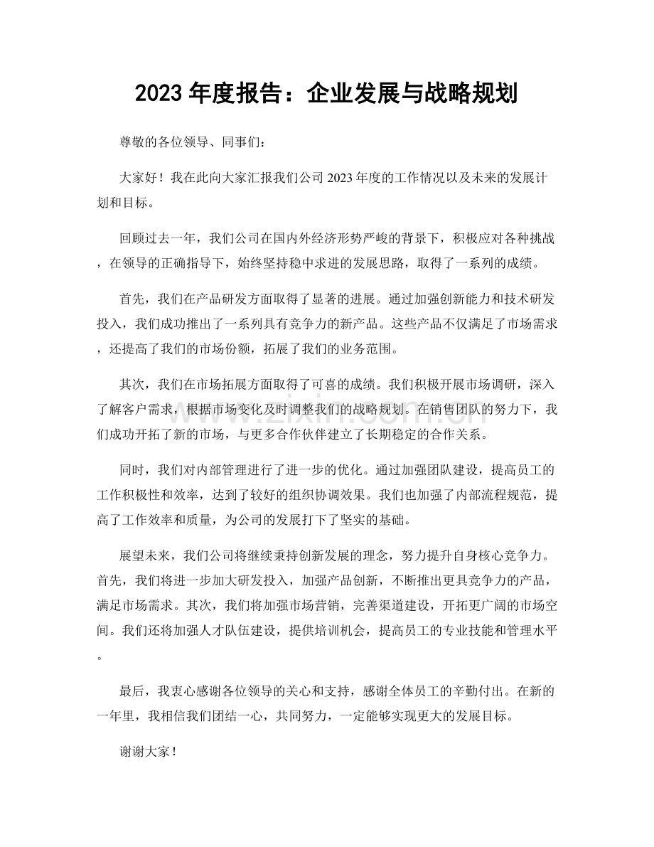 2023年度报告：企业发展与战略规划.docx_第1页