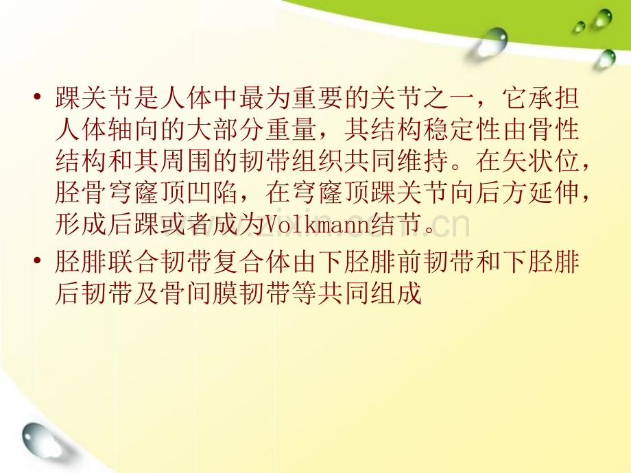 后踝骨折的治疗选择及其预后.ppt_第3页