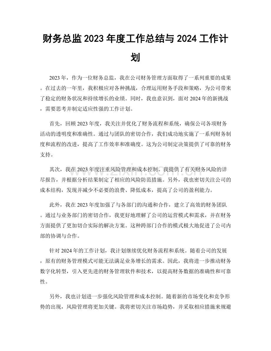 财务总监2023年度工作总结与2024工作计划.docx_第1页