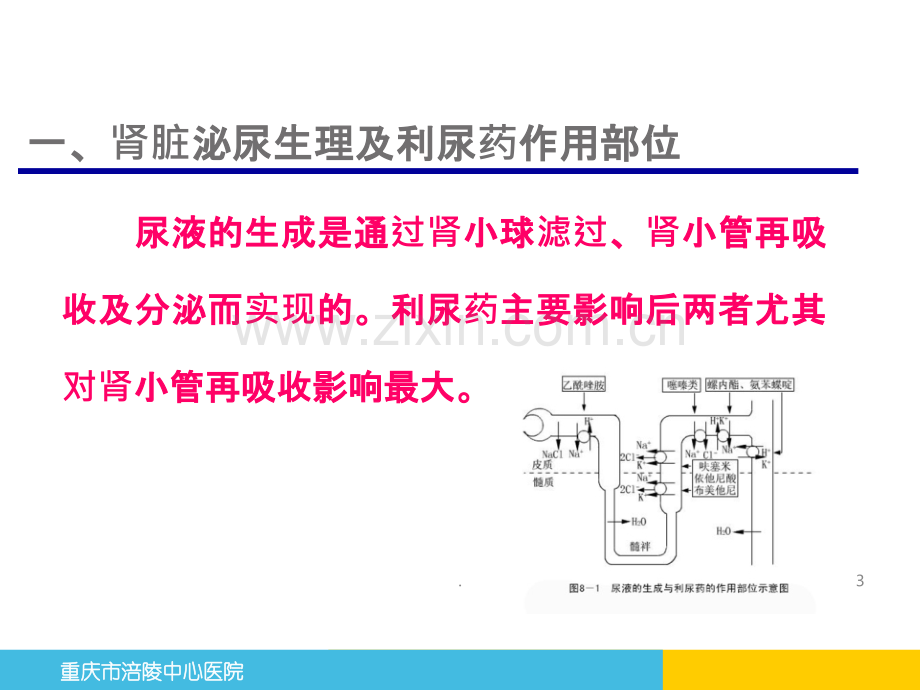 利尿、脱水及降颅压药物.ppt_第3页