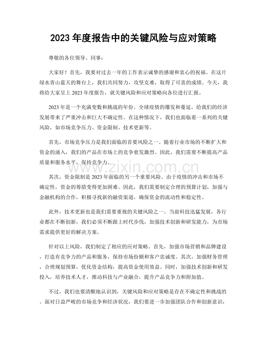 2023年度报告中的关键风险与应对策略.docx_第1页