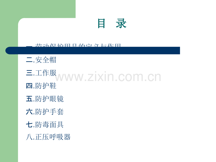 劳动防护用品的正确使用.ppt_第2页