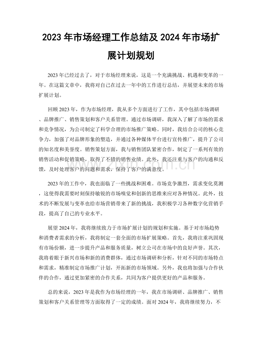 2023年市场经理工作总结及2024年市场扩展计划规划.docx_第1页