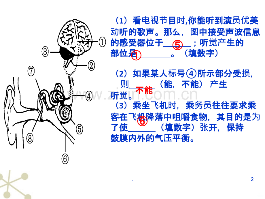 七下生物神经系统的组成.ppt_第2页