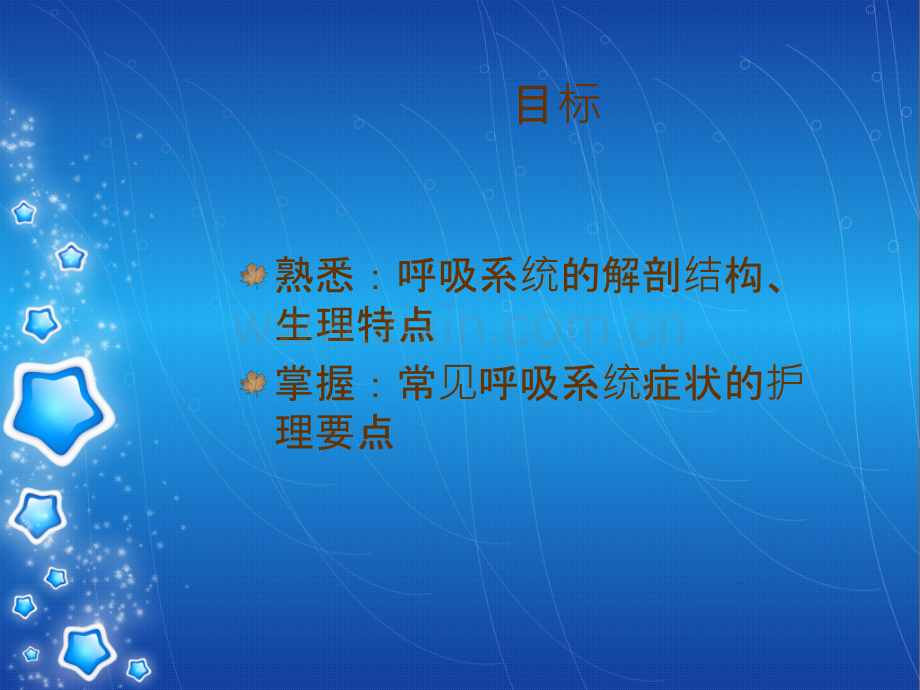 呼吸系统概述.ppt_第2页