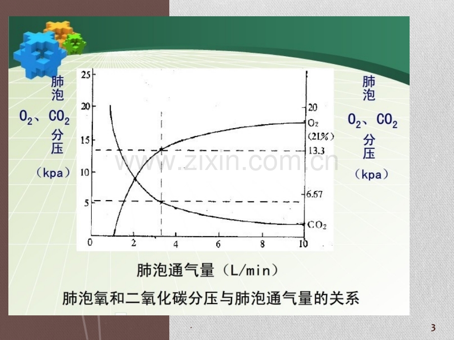 呼吸衰竭的护理(4).ppt_第3页