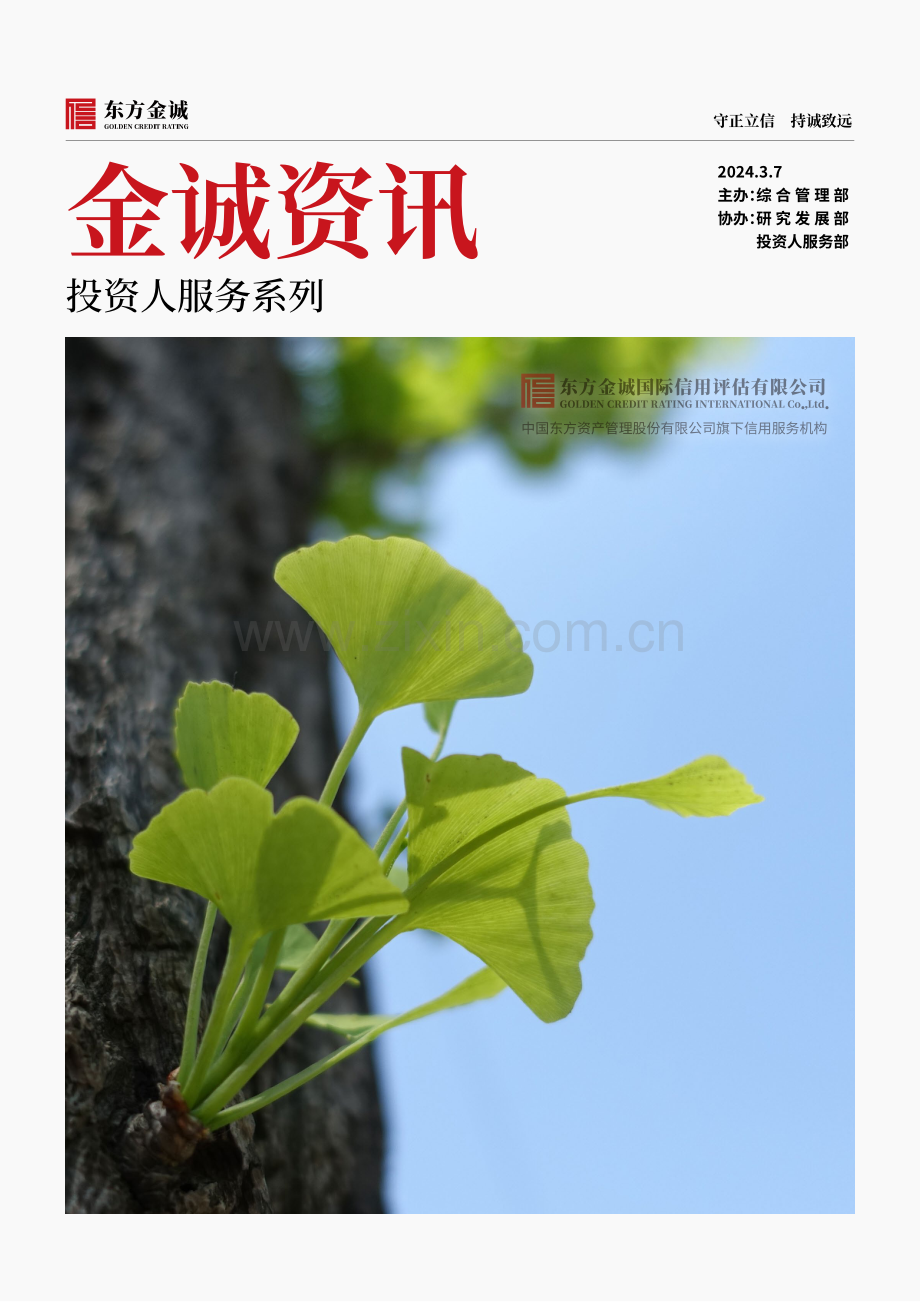 金诚资讯投资人服务系列.pdf_第1页