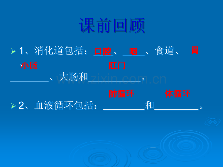 呼吸道和肺-冀教版.ppt_第1页