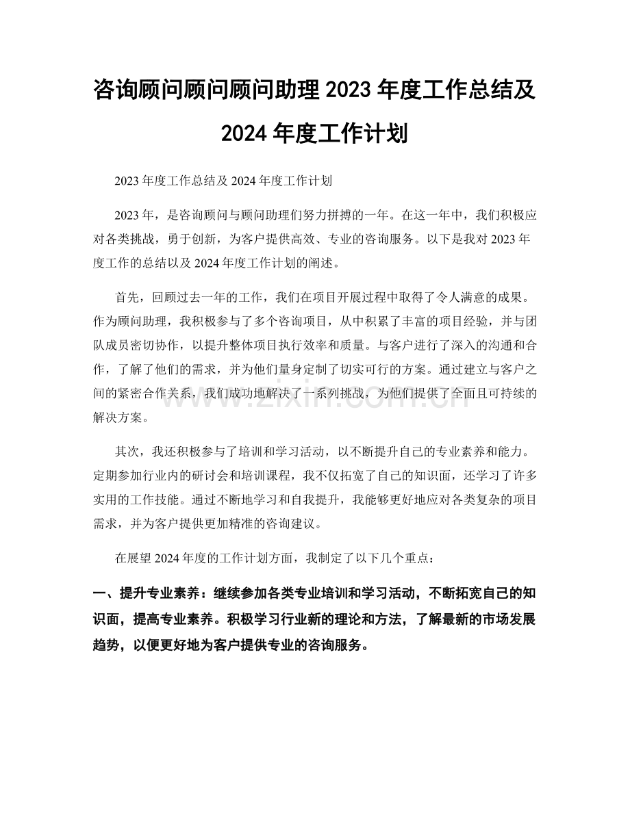 咨询顾问顾问顾问助理2023年度工作总结及2024年度工作计划.docx_第1页