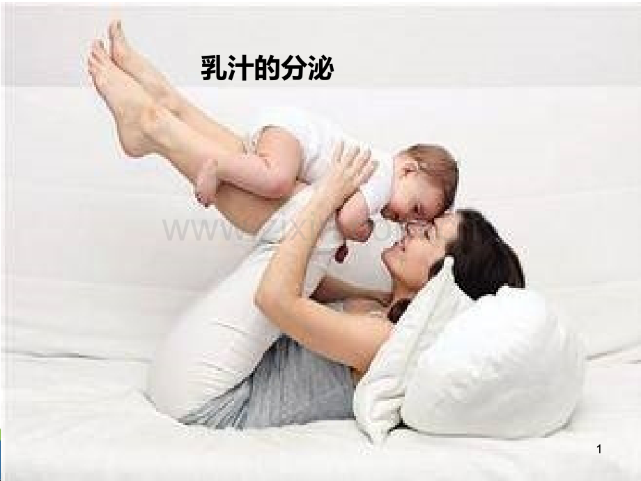 乳汁的生成与分泌.ppt_第1页