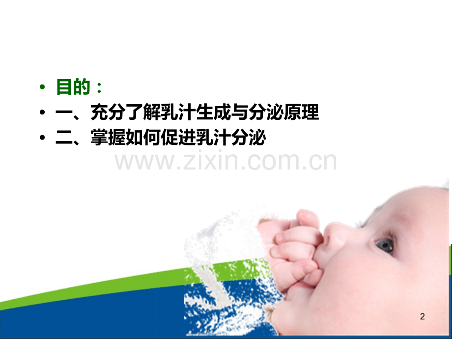 乳汁的生成与分泌.ppt_第2页