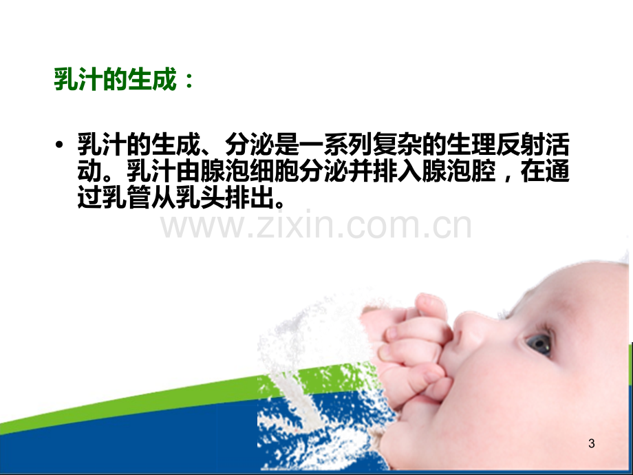 乳汁的生成与分泌.ppt_第3页