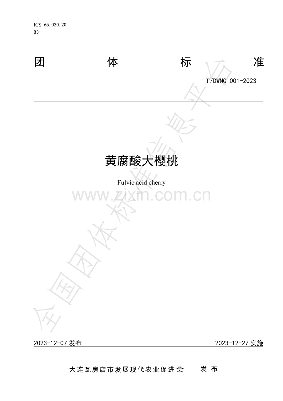 T∕DWNC 001-2023 黄腐酸大樱桃.pdf_第1页