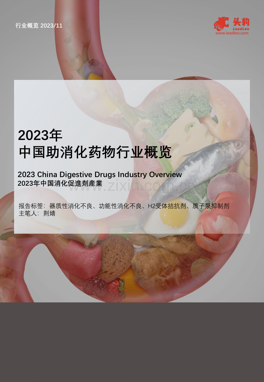 2023年中国助消化药物行业概览.pdf_第1页