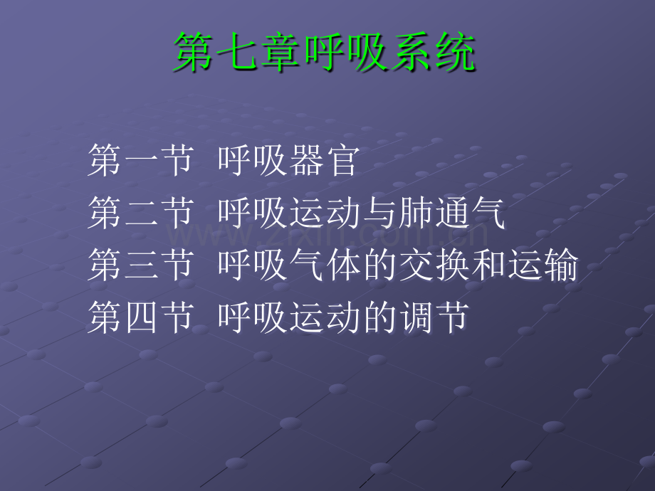 呼吸系统.ppt_第2页