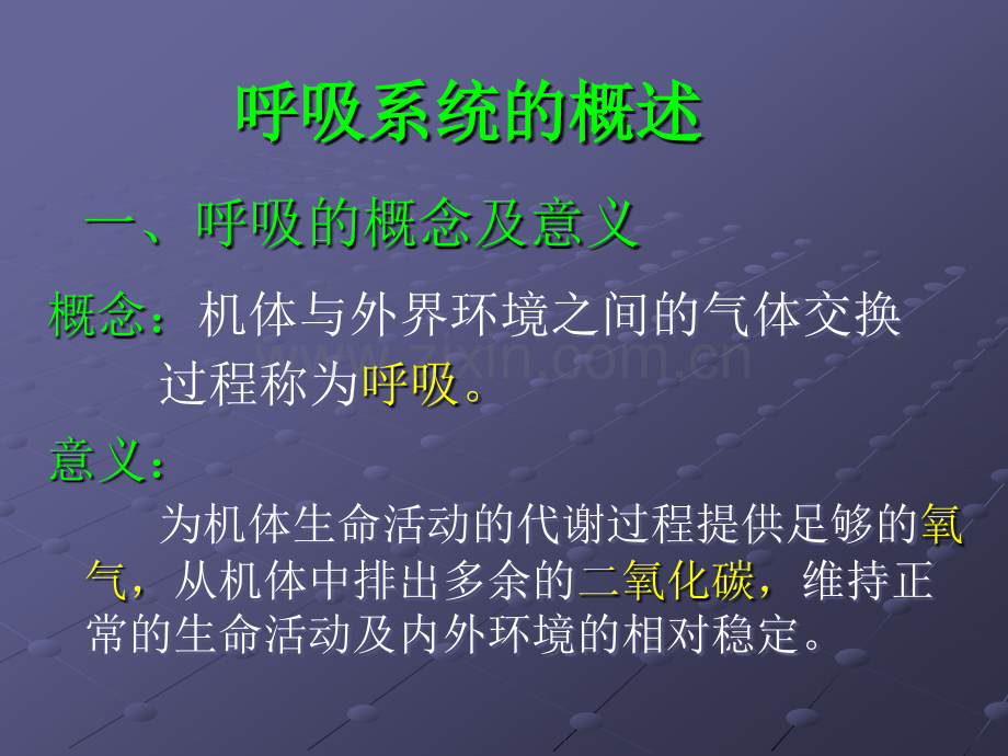 呼吸系统.ppt_第3页