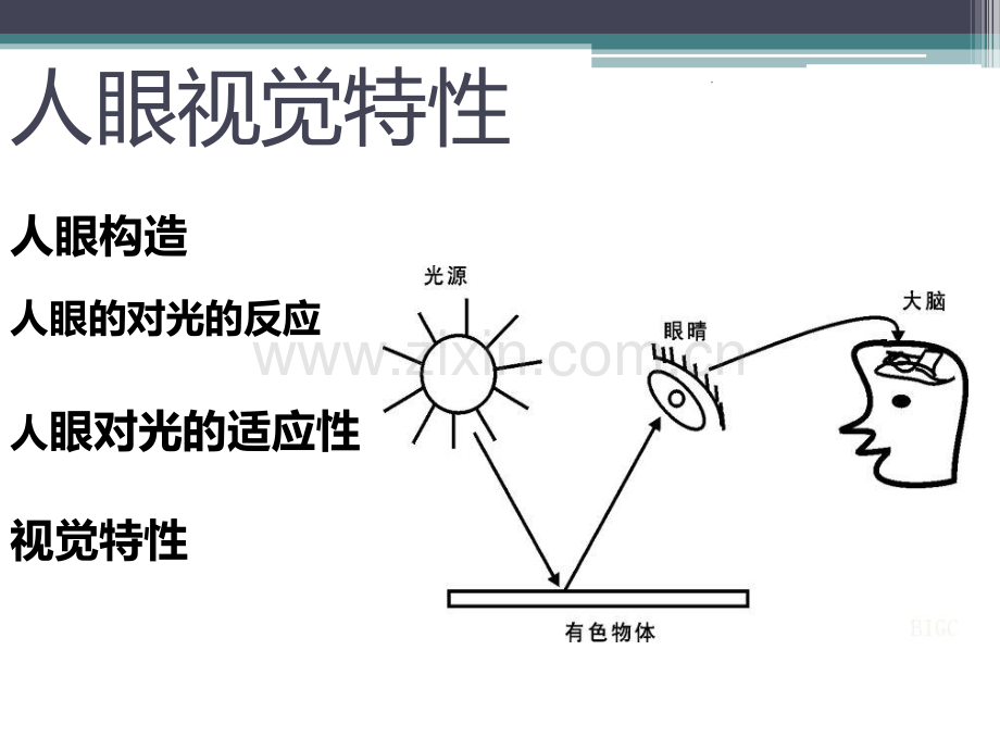 人眼视觉特性.ppt_第2页