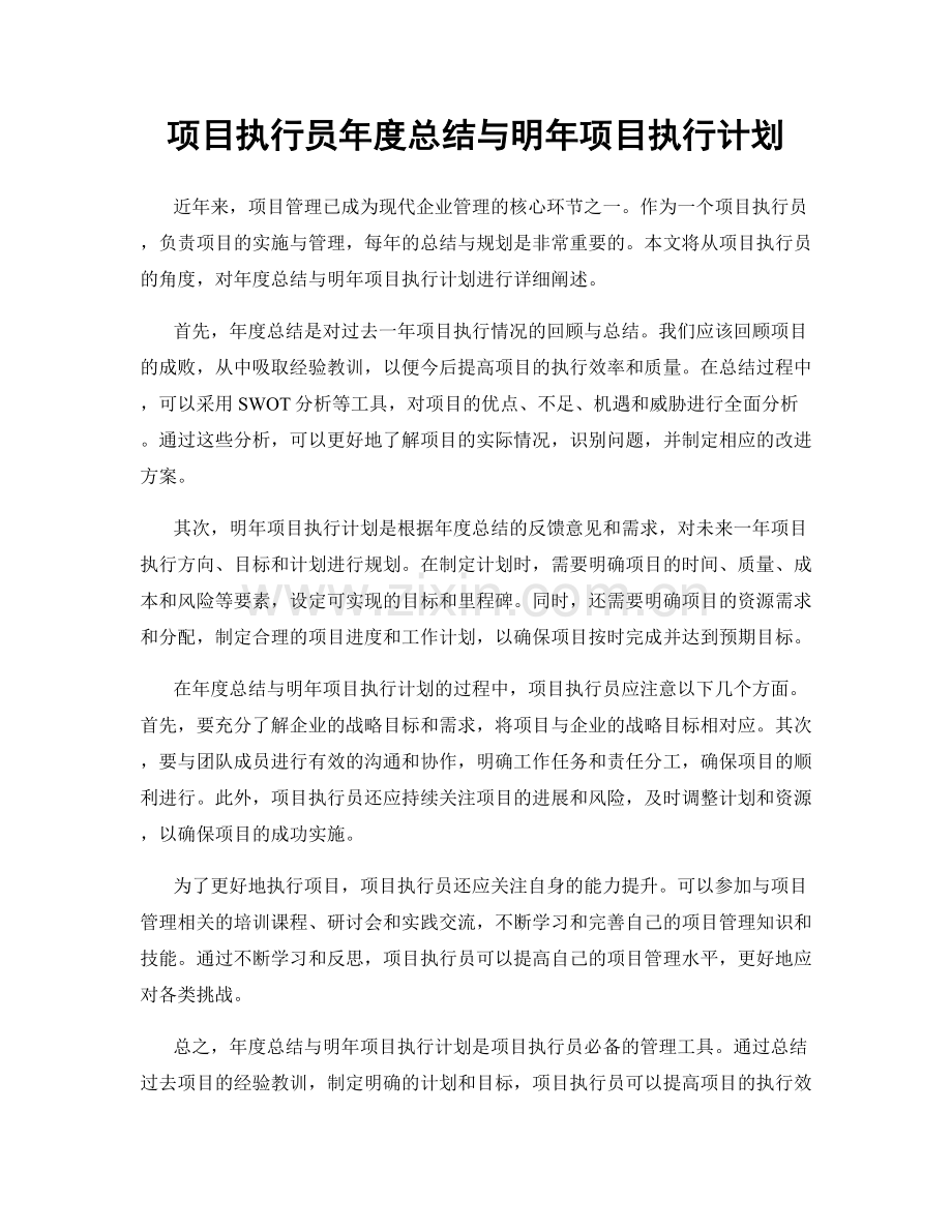 项目执行员年度总结与明年项目执行计划.docx_第1页