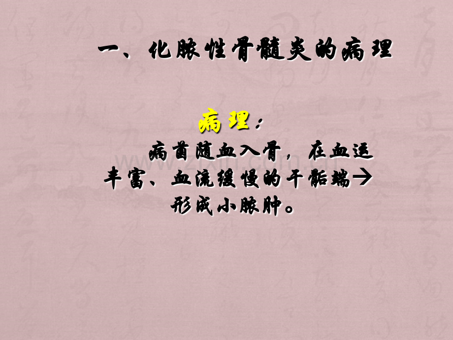 化脓性骨髓炎的病理.ppt_第2页