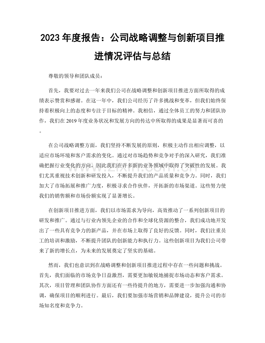 2023年度报告：公司战略调整与创新项目推进情况评估与总结.docx_第1页