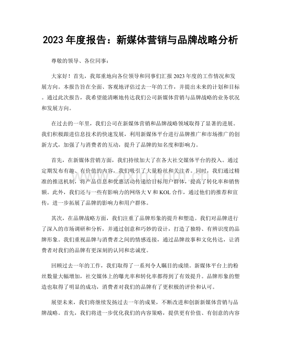 2023年度报告：新媒体营销与品牌战略分析.docx_第1页