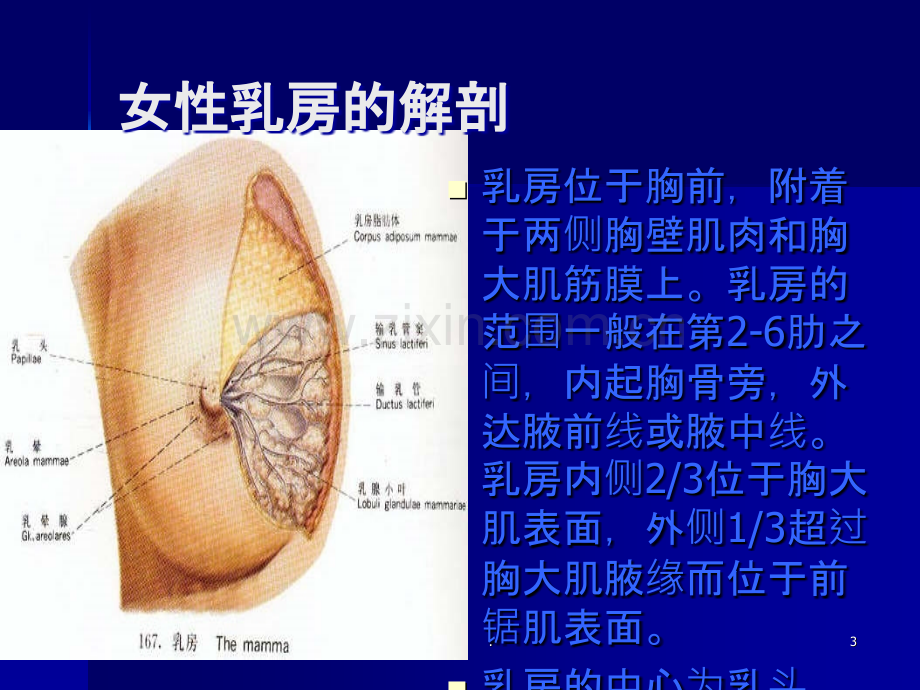 乳腺癌改良根治术护理配合.ppt_第3页