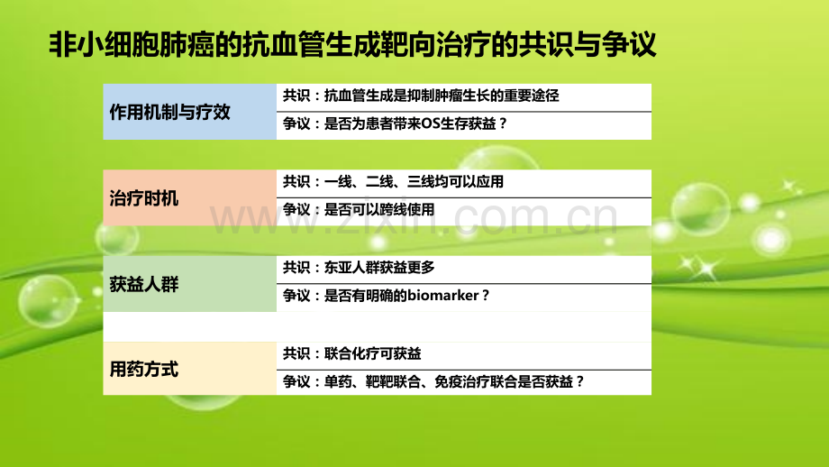 非小细胞肺癌的抗血管生成靶向治疗-PPT.ppt_第2页