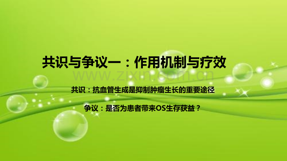 非小细胞肺癌的抗血管生成靶向治疗-PPT.ppt_第3页