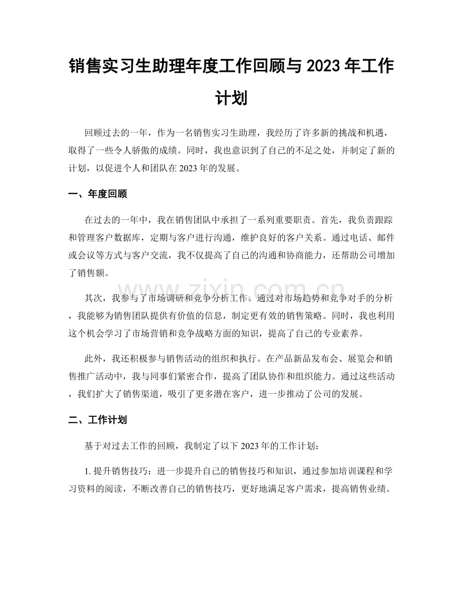 销售实习生助理年度工作回顾与2023年工作计划.docx_第1页