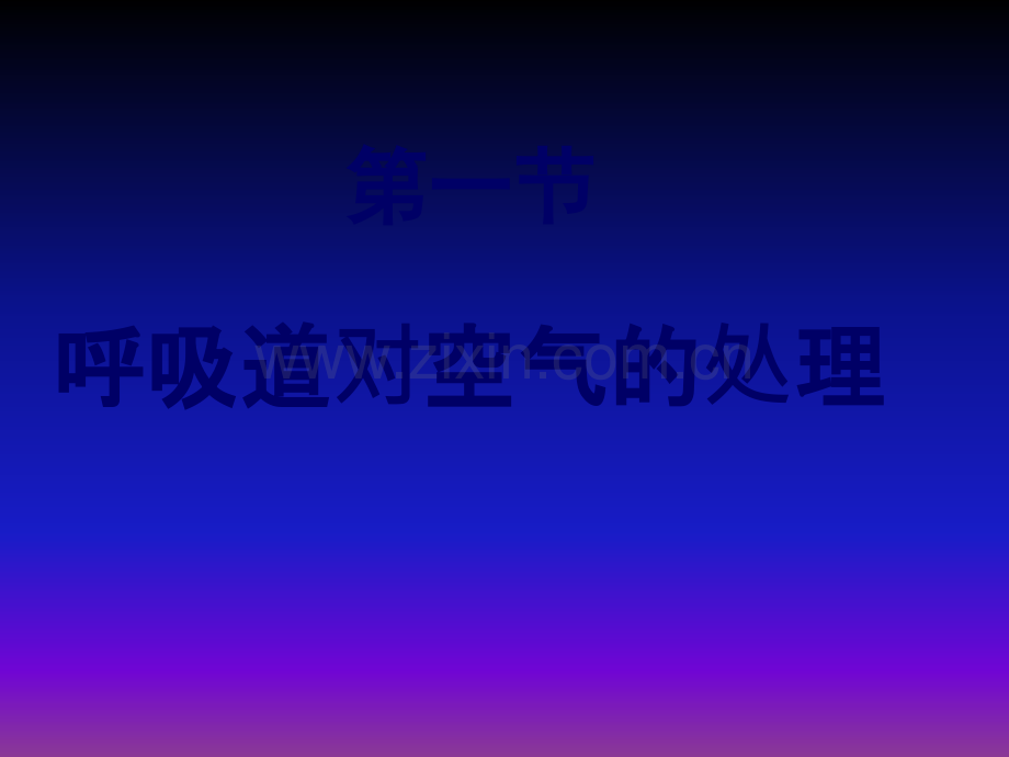 呼吸道对空气的处理(好)模板.ppt_第2页