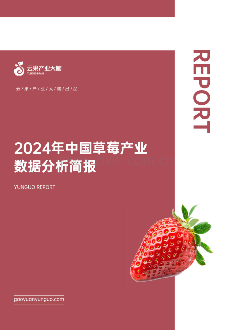 2024年中国草莓产业数据分析简报.pdf_第1页