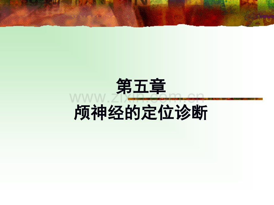 三叉神经.ppt_第1页