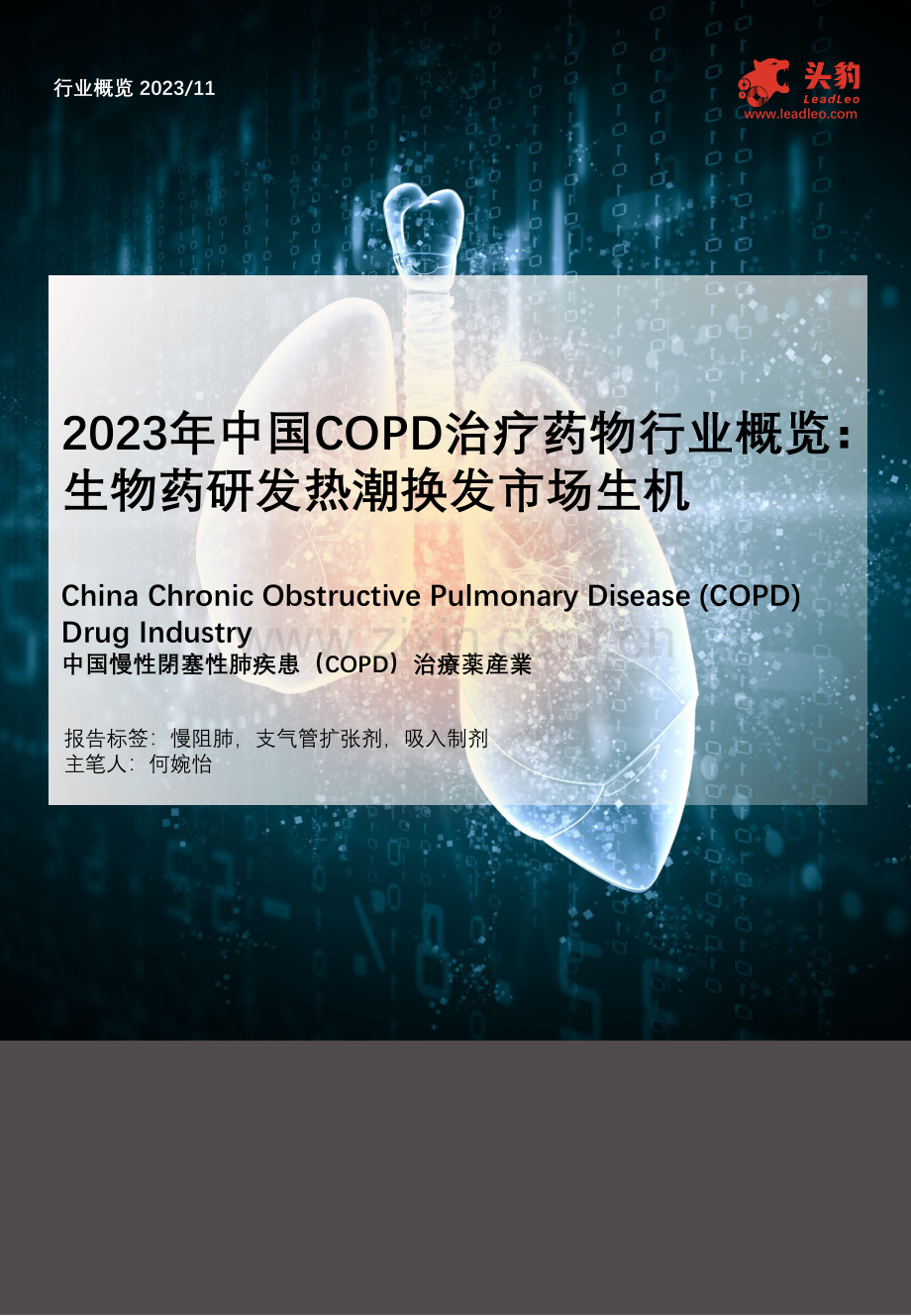 2023年中国COPD治疗药物行业概览.pdf_第1页