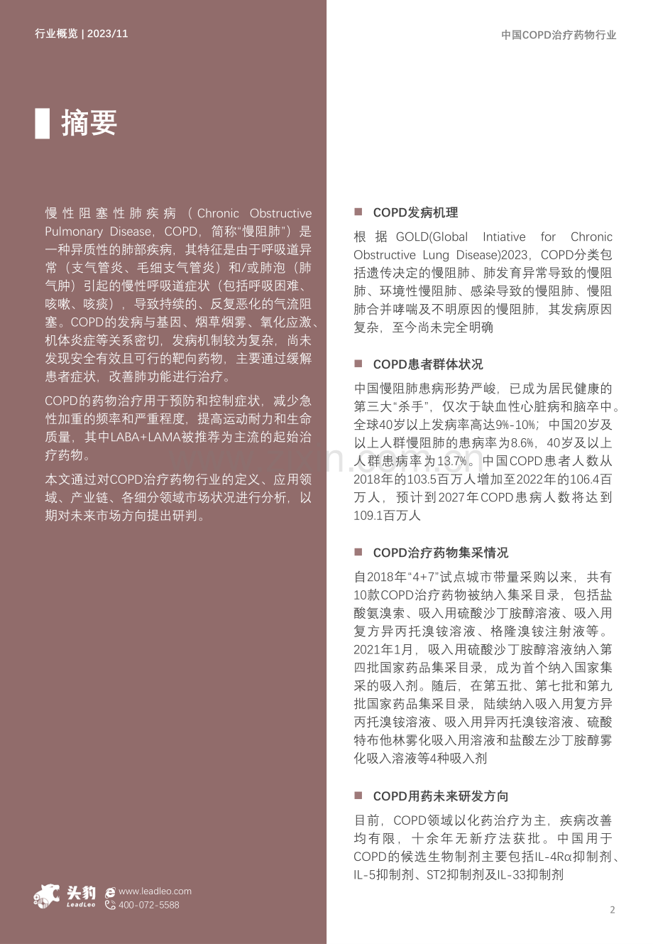 2023年中国COPD治疗药物行业概览.pdf_第2页