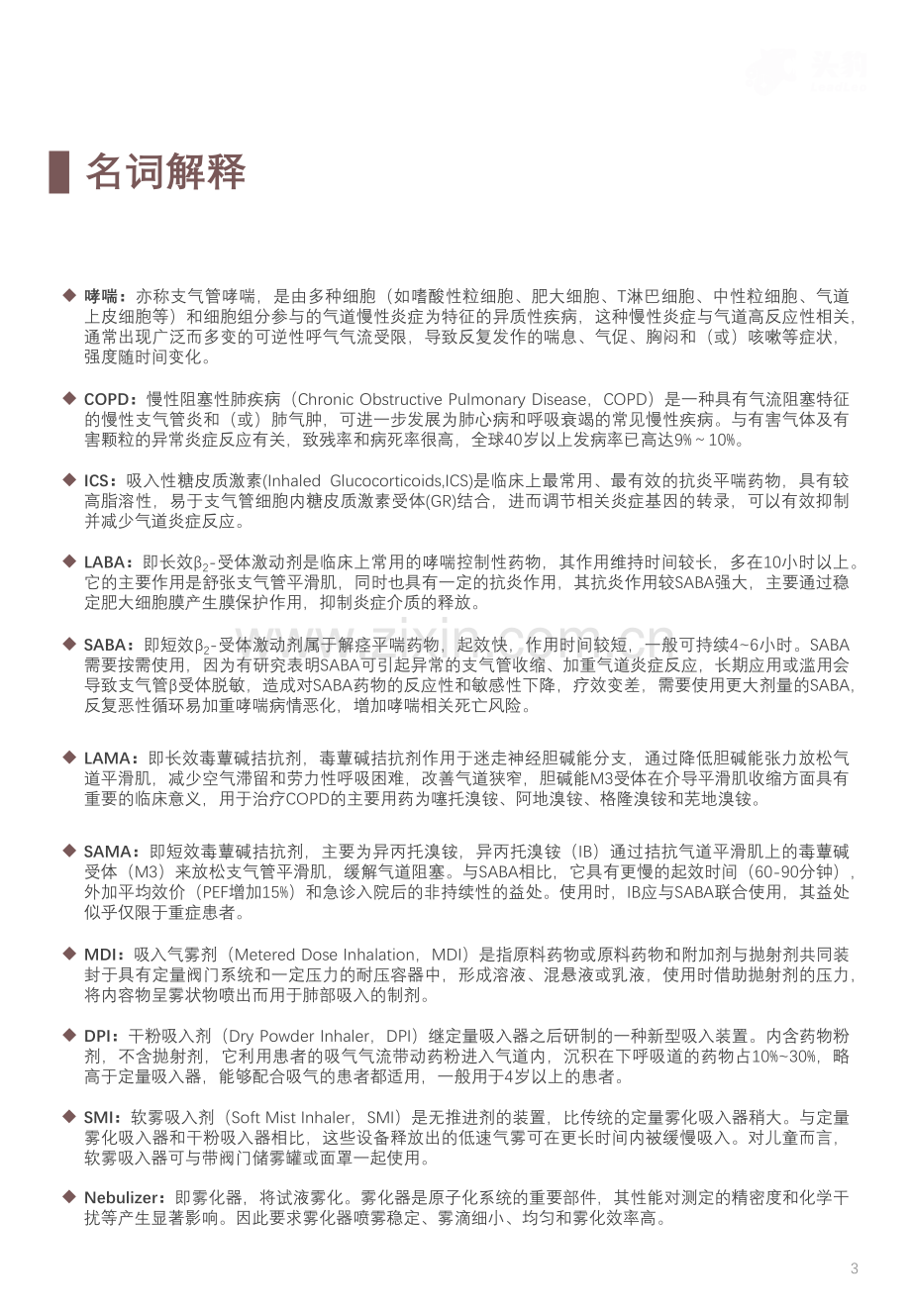 2023年中国COPD治疗药物行业概览.pdf_第3页