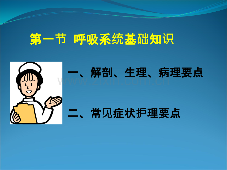 呼吸系统基础知识.ppt_第2页