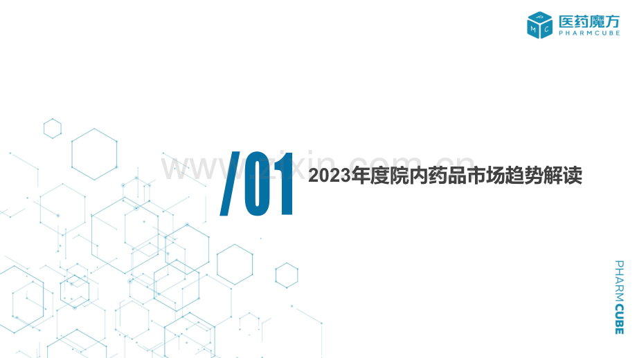 2023年度中国医院药品市场分析报告.pdf_第2页