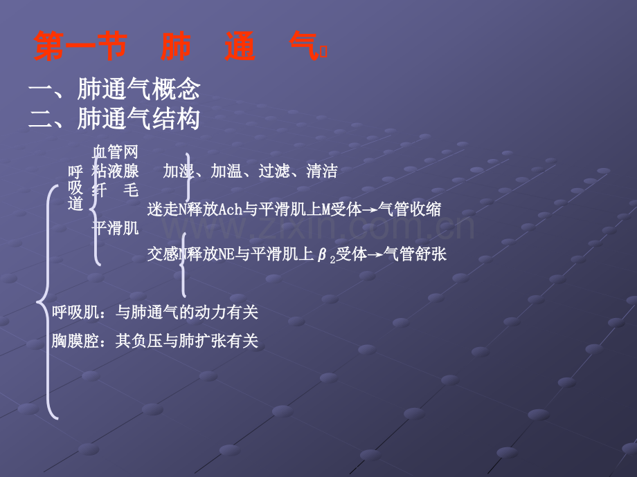 呼吸生理学.ppt_第3页