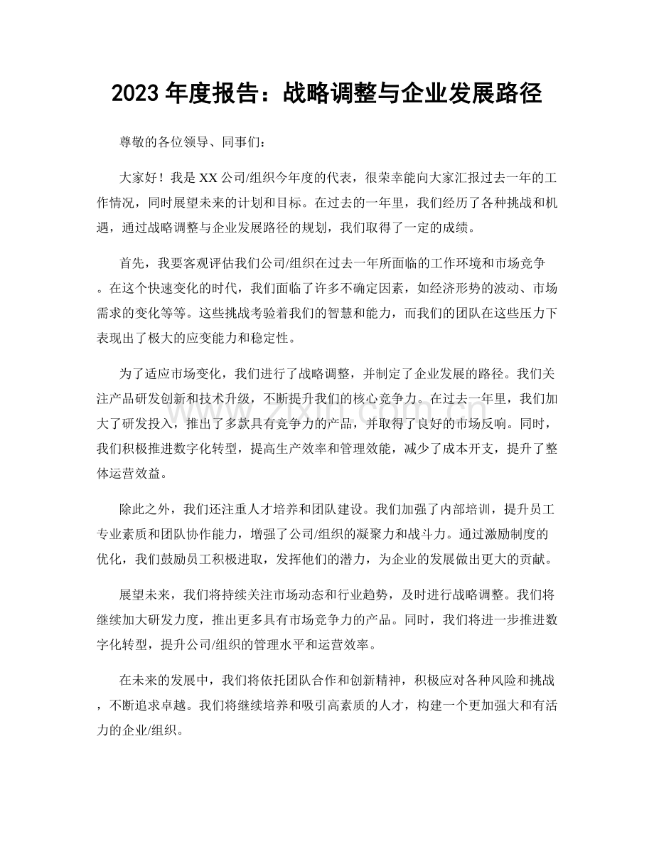 2023年度报告：战略调整与企业发展路径.docx_第1页