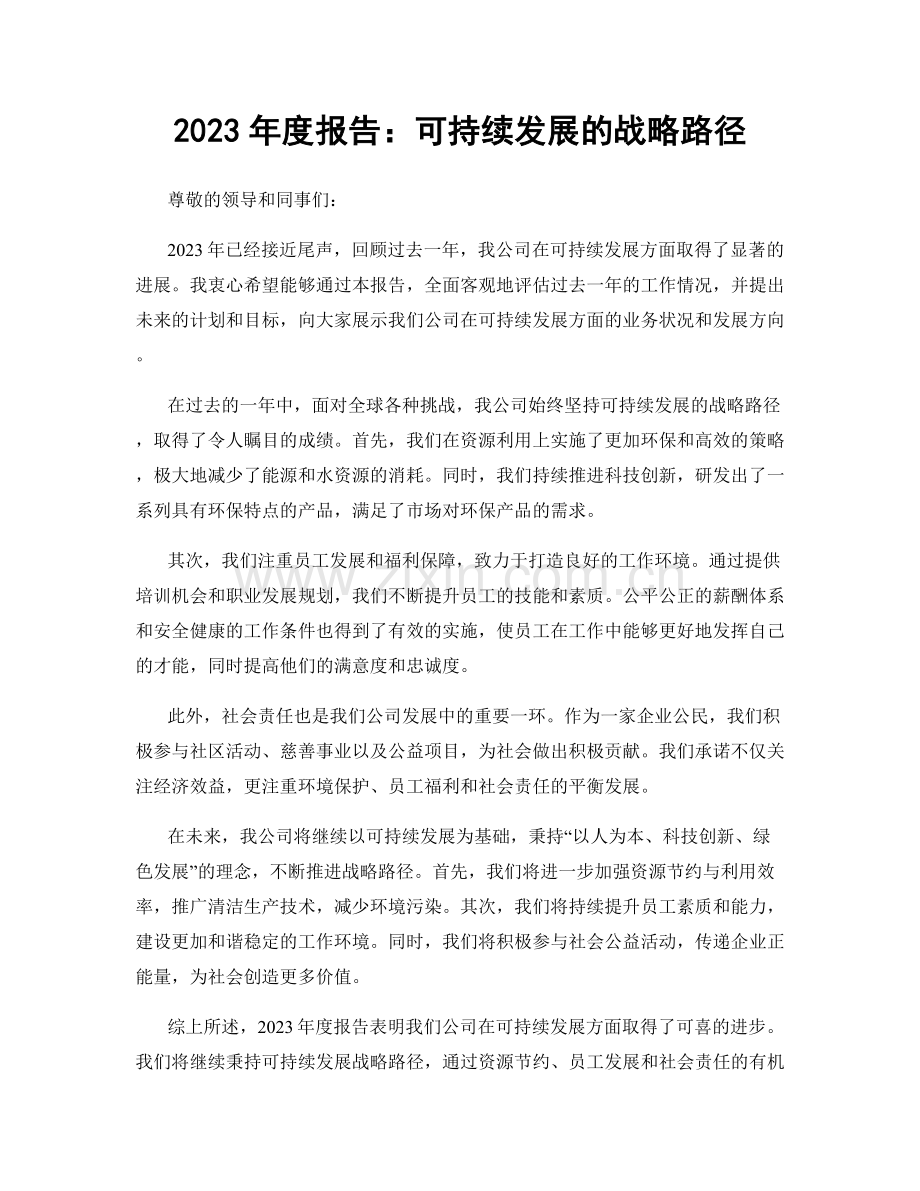 2023年度报告：可持续发展的战略路径.docx_第1页