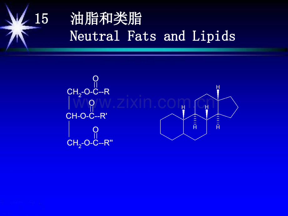 油脂和类脂NeutralFatsandLipids.pptx_第2页