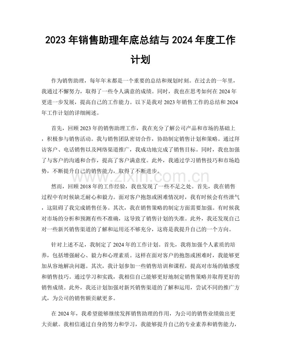 2023年销售助理年底总结与2024年度工作计划.docx_第1页