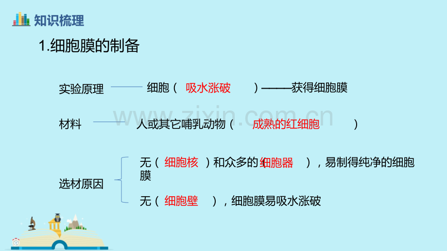 一轮复习细胞膜与细胞核.pptx_第3页