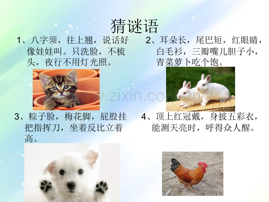 人教版二年级作文喜欢的小动物-作文指导-PPT.ppt_第1页