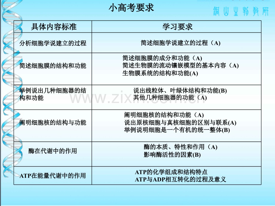 代谢和生态系统.pptx_第2页