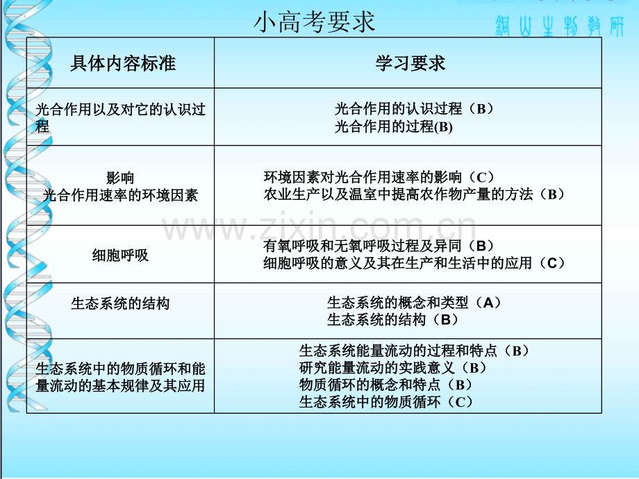 代谢和生态系统.pptx_第3页