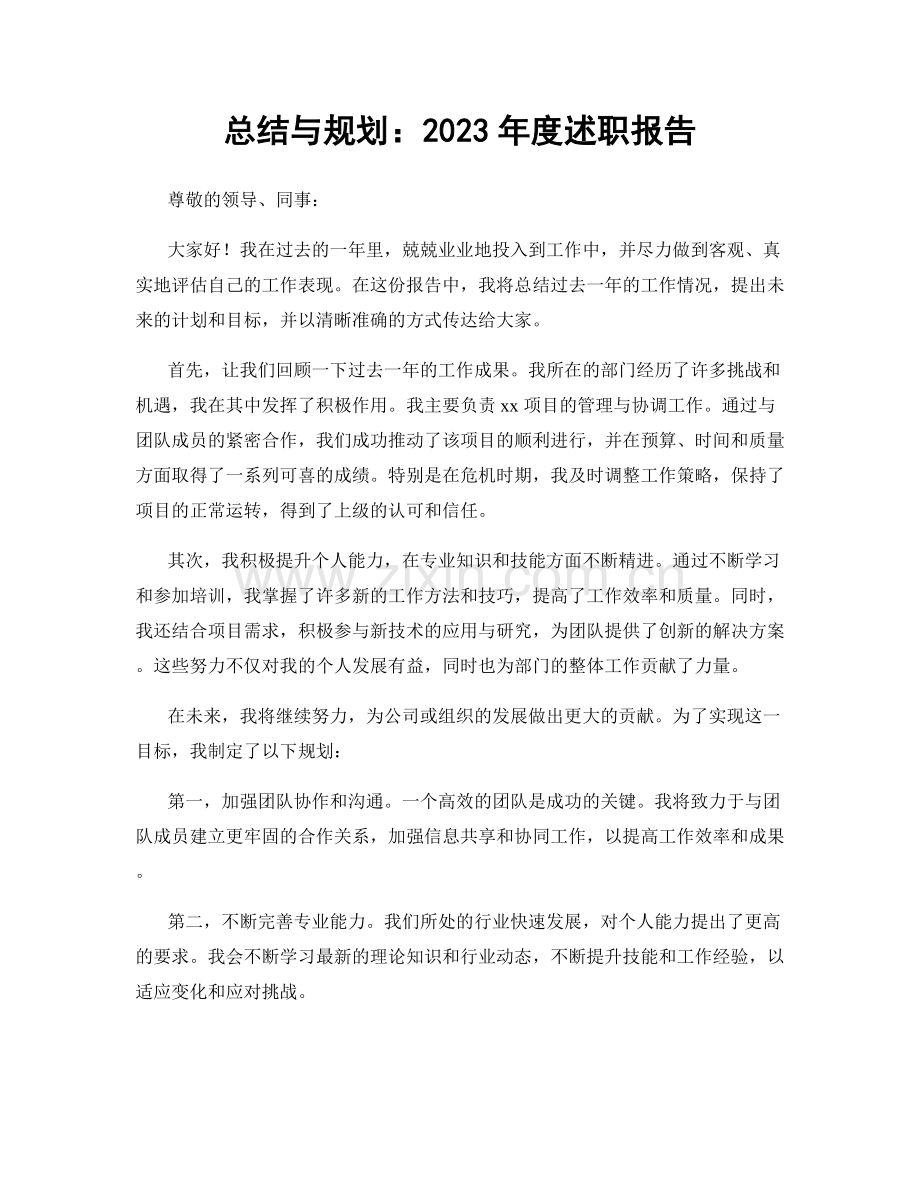 总结与规划：2023年度述职报告.docx_第1页